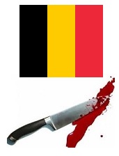 Steekpartijen België